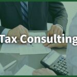 Importance of Professional Tax Advisory Services